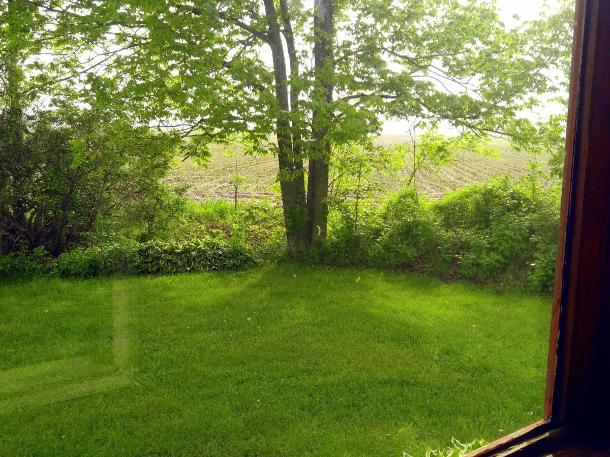 The Usonian Inn Llc Spring Green Εξωτερικό φωτογραφία