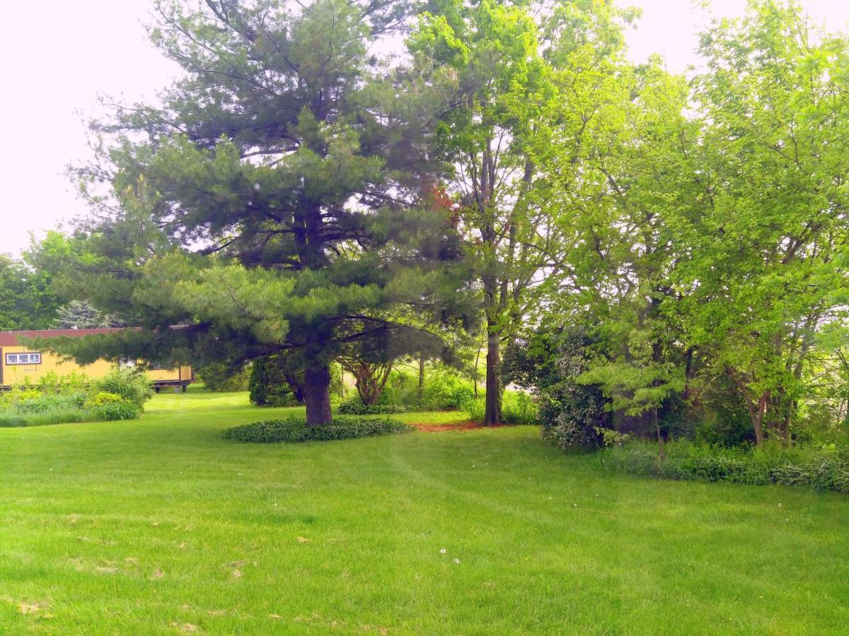 The Usonian Inn Llc Spring Green Εξωτερικό φωτογραφία